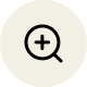 magnify icon
